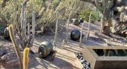 PICTURES/Desert Botanical Gardens - Wild Rising Cracking Art/t_Metalic2.jpg